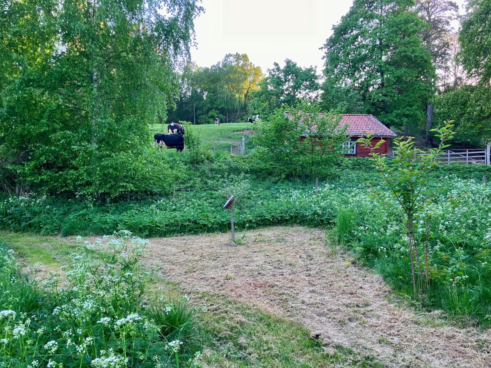 Lidhem Herrgard. Bed & Breakfast Och Mindre Laegenheter Vimmerby Esterno foto