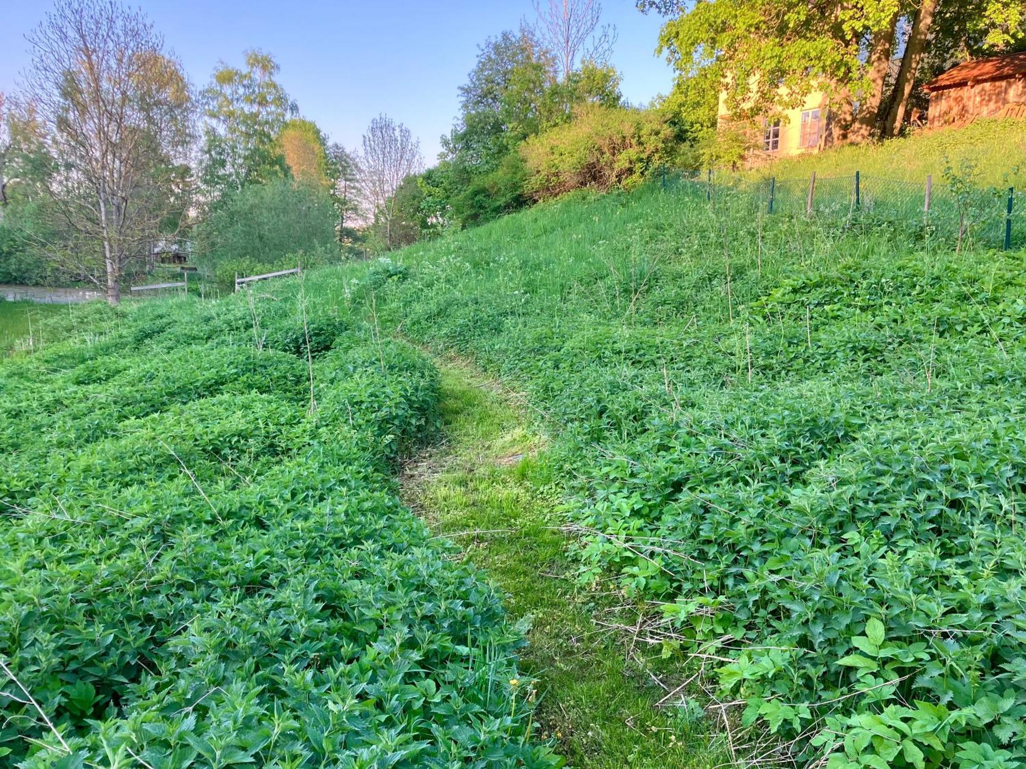 Lidhem Herrgard. Bed & Breakfast Och Mindre Laegenheter Vimmerby Esterno foto