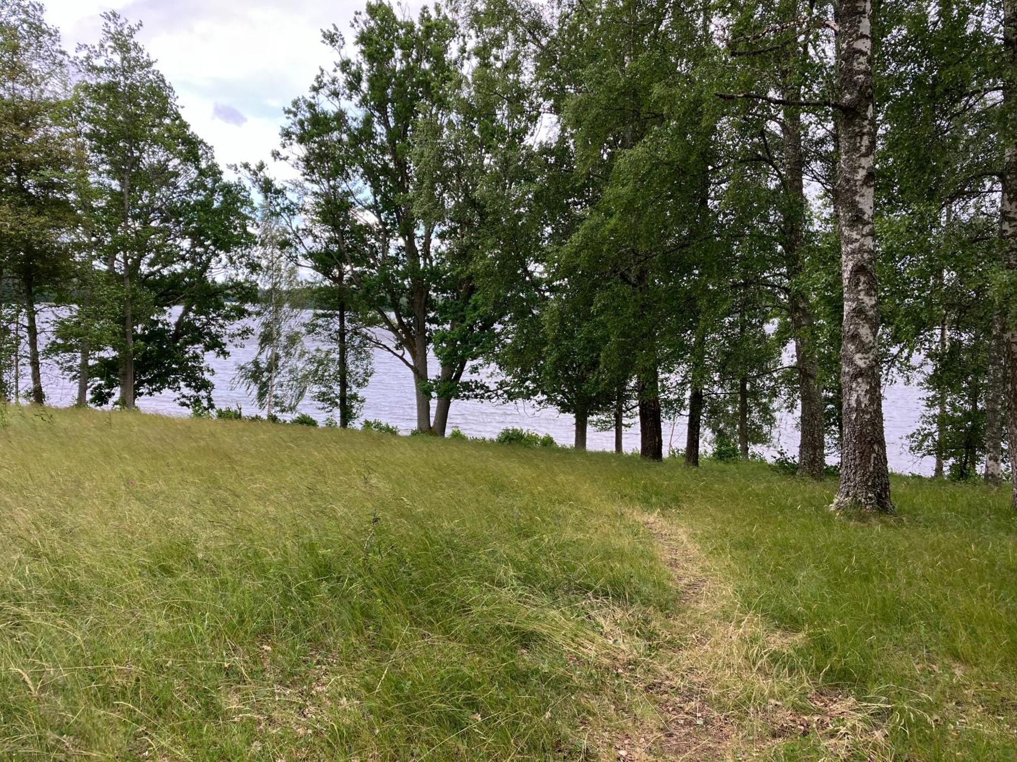Lidhem Herrgard. Bed & Breakfast Och Mindre Laegenheter Vimmerby Esterno foto
