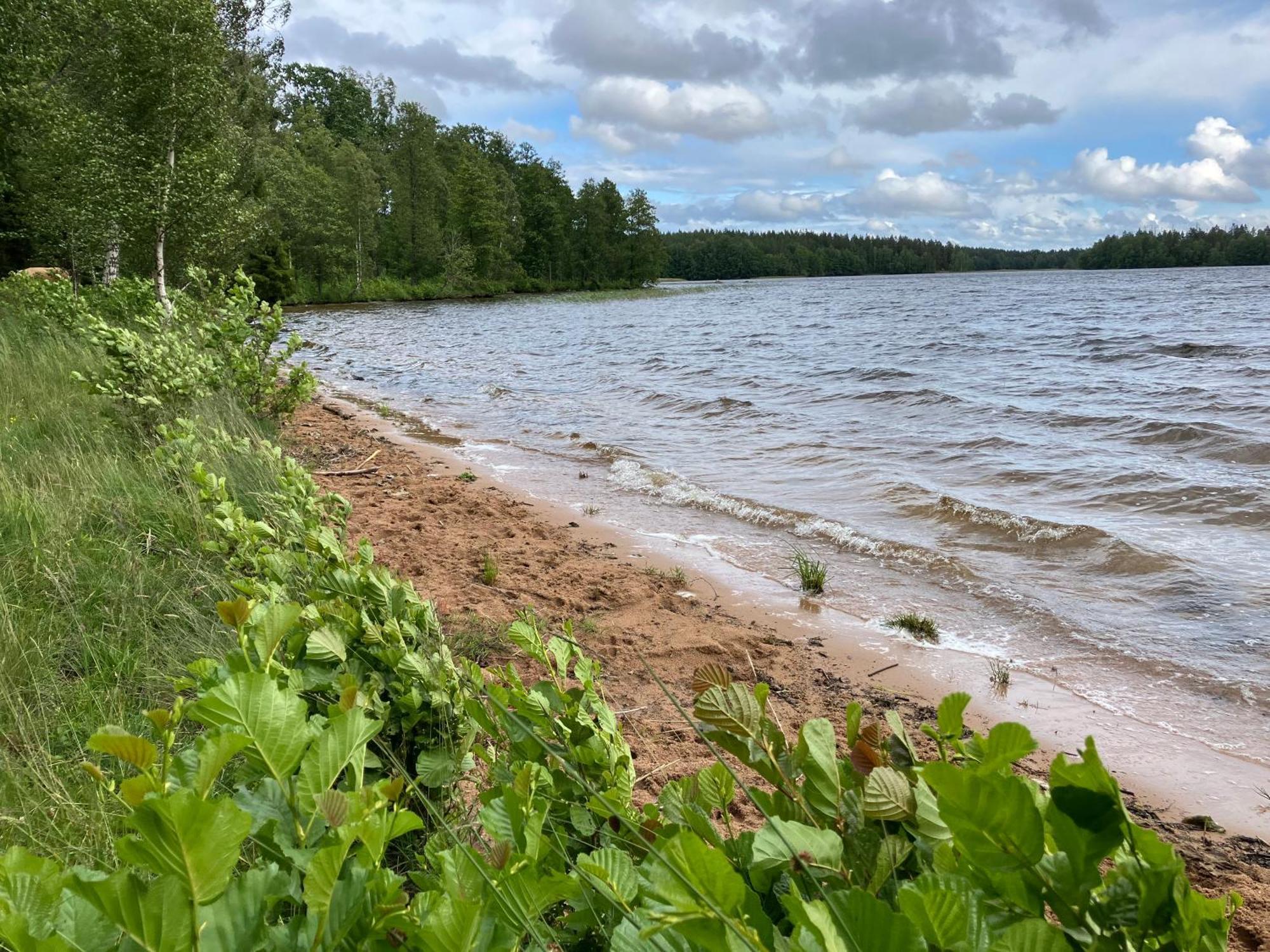Lidhem Herrgard. Bed & Breakfast Och Mindre Laegenheter Vimmerby Esterno foto