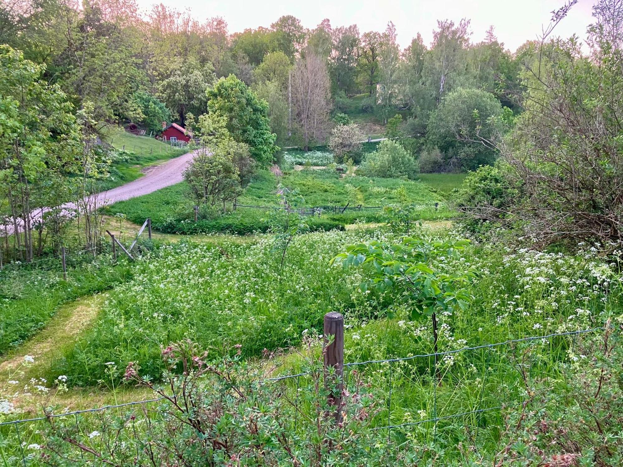 Lidhem Herrgard. Bed & Breakfast Och Mindre Laegenheter Vimmerby Esterno foto